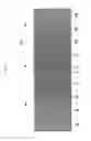 Fig. 04 - Inspecting chart and printing apparatus
