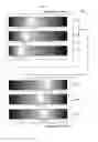 Fig. 09 - Inspecting chart and printing apparatus