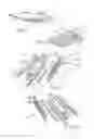 Fig. 08 - Cargo bed insert for utility vehicle, front end mounting assembly, and optional accessories items for use therewith, along with utility vehicle incorporating the same