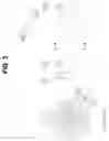 Fig. 04 - Chilled N2 infused beverage dispensing system and method to prepare and dispense a chilled N2 infused beverage