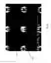 Fig. 22 - METHODS FOR FABRICATING HIGH ASPECT RATIO PROBES AND DEFORMING HIGH ASPECT RATIO NANOPILLARS AND MICROPILLARS