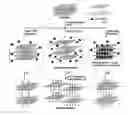 Fig. 01 - PREPARATION OF FUNCTIONALISED CARBON NANOMATERIALS