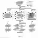 Fig. 02 - PREPARATION OF FUNCTIONALISED CARBON NANOMATERIALS