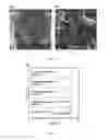 Fig. 09 - PREPARATION OF FUNCTIONALISED CARBON NANOMATERIALS