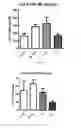 Fig. 06 - Compounds and methods for treating cancer, neurological disorders, ethanol withdrawal, anxiety, depression, and neuropathic pain