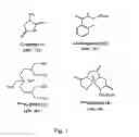 Fig. 02 - Fluorescent pyrazine derivatives and methods of using the same in assessing renal function