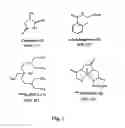 Fig. 02 - FLUORESCENT PYRAZINE DERIVATIVES AND METHODS OF USING THE SAME IN ASSESSING RENAL FUNCTION