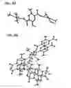 Fig. 09 - FLUORESCENT PYRAZINE DERIVATIVES AND METHODS OF USING THE SAME IN ASSESSING RENAL FUNCTION