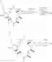 Fig. 35 - NOVEL ANTIBACTERIAL AGENTS