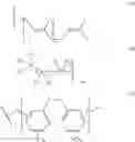 Fig. 08 - MOENOMYCIN ANALOGS, METHODS OF SYNTHESIS, AND USES THEREOF