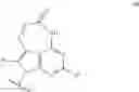 Fig. 50 - 2′,4′-substituted nucleosides as antiviral agents