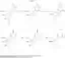 Fig. 59 - 2′,4′-substituted nucleosides as antiviral agents