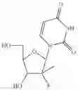 Fig. 69 - 2′,4′-substituted nucleosides as antiviral agents