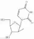Fig. 83 - 2′,4′-substituted nucleosides as antiviral agents