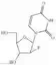 Fig. 85 - 2′,4′-substituted nucleosides as antiviral agents