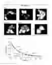 Fig. 06 - Polypeptide exhibiting fluorescent properties, and utilization of the same