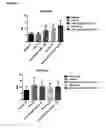 Fig. 40 - COMPOUNDS AND METHODS FOR TREATMENT OR PREVENTION OF A PATHOGEN INFECTION