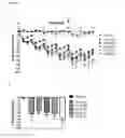 Fig. 04 - GIP-GLP-1 dual agonist compounds and methods