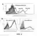 Fig. 06 - Engineered high-affinity human T cell receptors