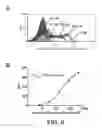 Fig. 07 - Engineered high-affinity human T cell receptors