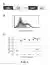Fig. 09 - Engineered high-affinity human T cell receptors