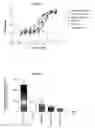 Fig. 07 - Human antibody molecules for IL-13