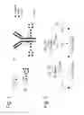 Fig. 02 - Modified glycoprotein, protein-conjugate and process for the preparation thereof