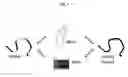 Fig. 02 - Silk protein coatings