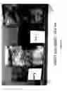 Fig. 06 - BINDERS AND ASSOCIATED PRODUCTS