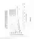 Fig. 07 - BINDERS AND ASSOCIATED PRODUCTS