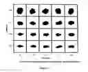 Fig. 02 - COMPOSITIONS AND METHODS FOR WELL CEMENTING