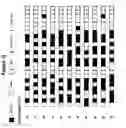 Fig. 45 - METHODS AND COMPOSITIONS FOR THE SPECIFIC INHIBITION OF MYC BY DOUBLE-STRANDED RNA
