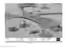 Fig. 03 - MOLECULAR DELIVERY WITH NANOWIRES
