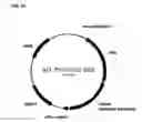 Fig. 99 - Compositions and methods for producing isoprene