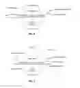 Fig. 06 - Multiplex detection of nucleic acids