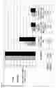 Fig. 32 - Stabilization and isolation of extracellular nucleic acids