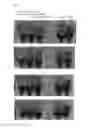 Fig. 12 - STABILIZATION AND ISOLATION OF EXTRACELLULAR NUCLEIC ACIDS