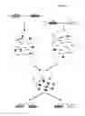 Fig. 02 - METHODS AND COMPOSITIONS FOR TARGETED NUCLEIC ACID SEQUENCING