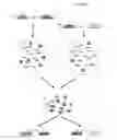 Fig. 02 - METHODS AND COMPOSITIONS FOR TARGETED NUCLEIC ACID SEQUENCING