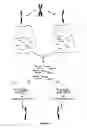 Fig. 07 - METHODS AND COMPOSITIONS FOR TARGETED NUCLEIC ACID SEQUENCING