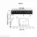 Fig. 06 - Biosensors comprising concatemeric nucleic acid molecules