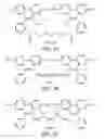 Fig. 03 - Optimized real time nucleic acid detection processes