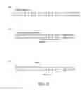 Fig. 05 - Optimized real time nucleic acid detection processes