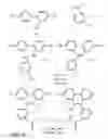Fig. 10 - Optimized real time nucleic acid detection processes