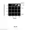 Fig. 08 - ULTRASENSITIVE DIAGNOSTIC DEVICE USING ELECTROCATALYTIC FLUID DISPLACEMENT (EFD) FOR VISUAL READOUT