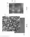 Fig. 14 - Methods, carrier assemblies, and systems for imaging samples for biological or chemical analysis