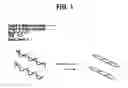 Fig. 02 - Recombinase polymerase amplification