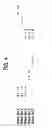 Fig. 09 - Recombinase polymerase amplification