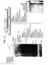 Fig. 20 - Recombinase polymerase amplification
