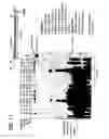Fig. 22 - Recombinase polymerase amplification